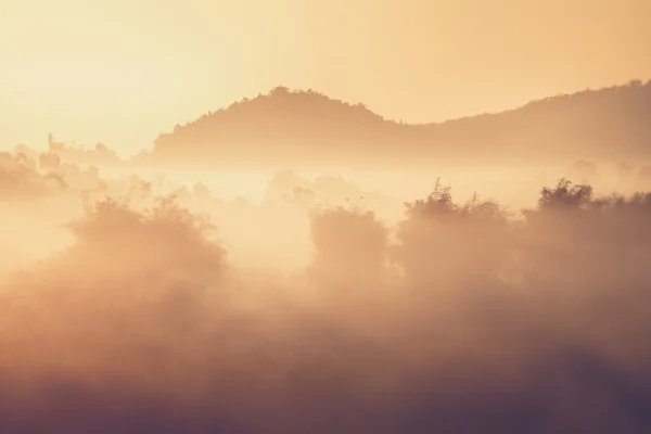 Phuthapboek Khoo kho, Phetchabun Tailândia (Filtro vintage effec — Fotografia de Stock