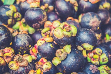 Grup mangosteen (kullanılan Vintage filtre efekti)