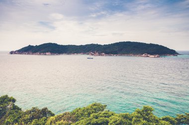 donald duck defne similans n ko similan Island Bakış