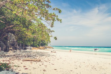 Koh Tachai Adası, Phang Nga ilinde, Tayland, Thailand (Vintage filtre