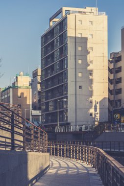 Tokyo, Japonya Sumida Cityscape.