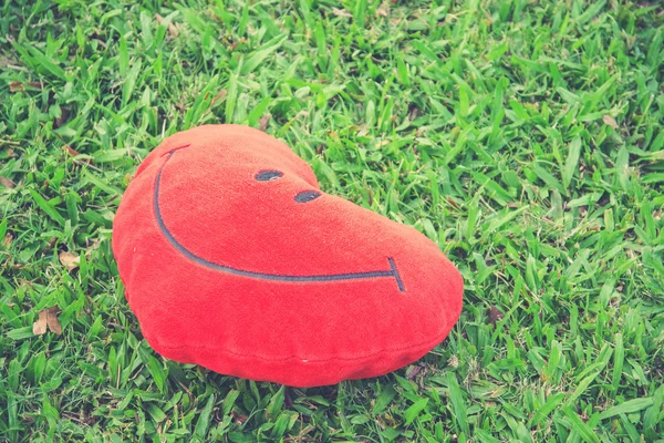 Velká láska srdce tvaru polštář na zelené trávě (Vintage filtru účin — Stock fotografie