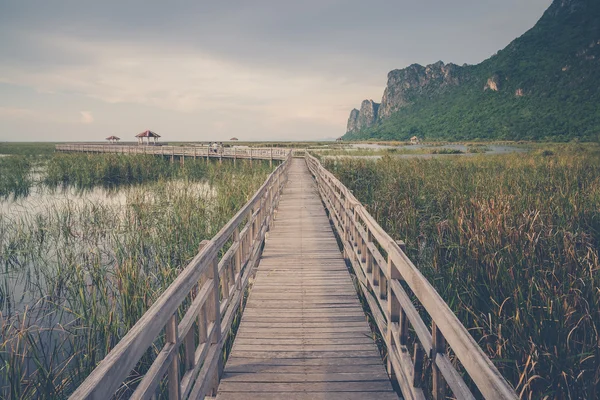 Sam roi yod Nationalpark, prachuap khiri khan, Thailand — Stockfoto