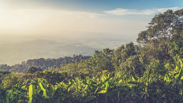 Landskap med utsikt över bergen på Phuthapboek Khoo kho, Phetchabun — Stockfoto