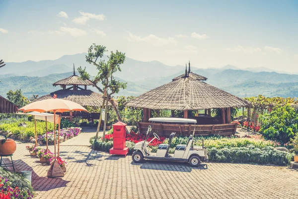 Thanatorn orange farm locate at Chiangmai,Thailand (Vintage filt — Stock Photo, Image