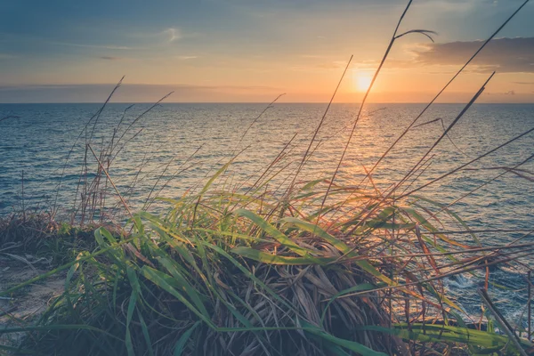 Pôr do sol paisagem marinha com grama primeiro plano — Fotografia de Stock