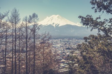 Japonya'da kırmızı pagoda görünümünden Fuji Dağı