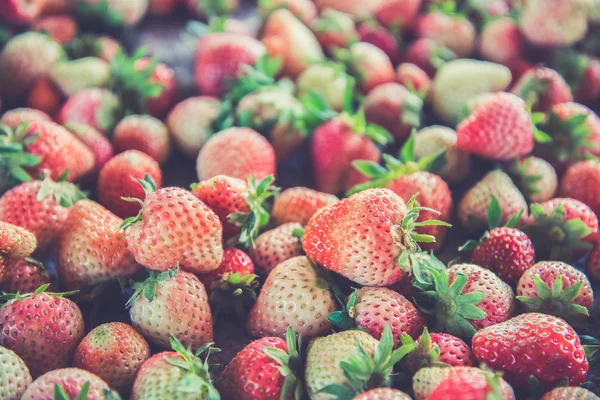 Fresh Strawberrys at Doi ang-Khang (Vintage filter effect used) — Stock Photo, Image