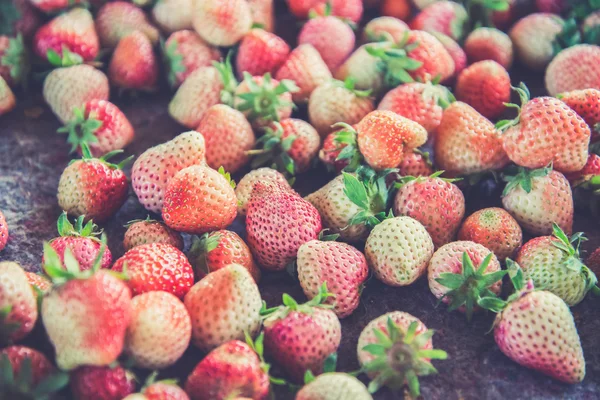 Fresh Strawberrys at Doi ang-Khang (Vintage filter effect used) — Stock Photo, Image