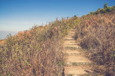 Alp savana otlak, Doi Inthanon, Chiang Mai, Tayland (
