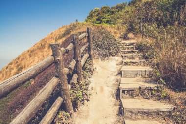 Alp savana otlak, Doi Inthanon, Chiang Mai, Tayland (
