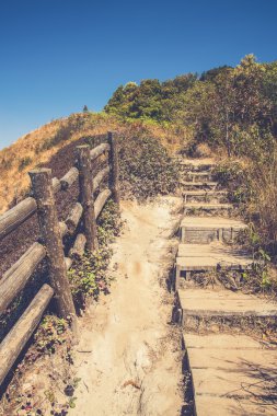 Alp savana otlak, Doi Inthanon, Chiang Mai, Tayland (