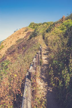 Alp savana otlak, Doi Inthanon, Chiang Mai, Tayland (
