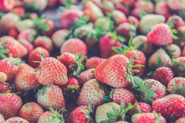 Fresh Strawberrys at Doi ang-Khang (Vintage filter effect used) — Stock Photo, Image