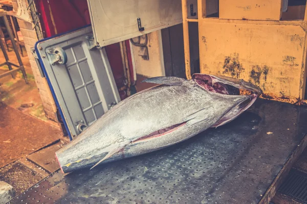 Tonno al mercato del pesce Tsukiji, Tokyo, Giappone — Foto Stock