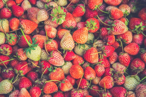 Fresh Strawberry - full frame  (Vintage filter effect used) — Stock Photo, Image