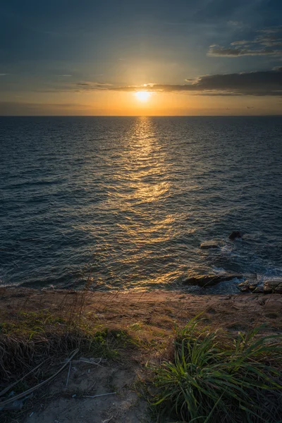 Puesta de sol paisaje marino y hierba — Foto de Stock