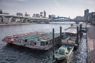 View of The Sumida River at daytime