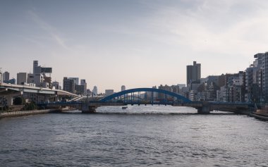 View of The Sumida River at daytime