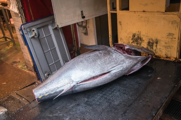 Tonno al mercato del pesce Tsukiji — Foto Stock