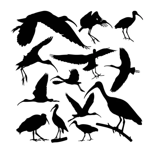 光沢のあるイビス鳥の動物のシルエット シンボル ウェブアイコン マスコット サイン またはあなたが望むデザインに適しています — ストックベクタ