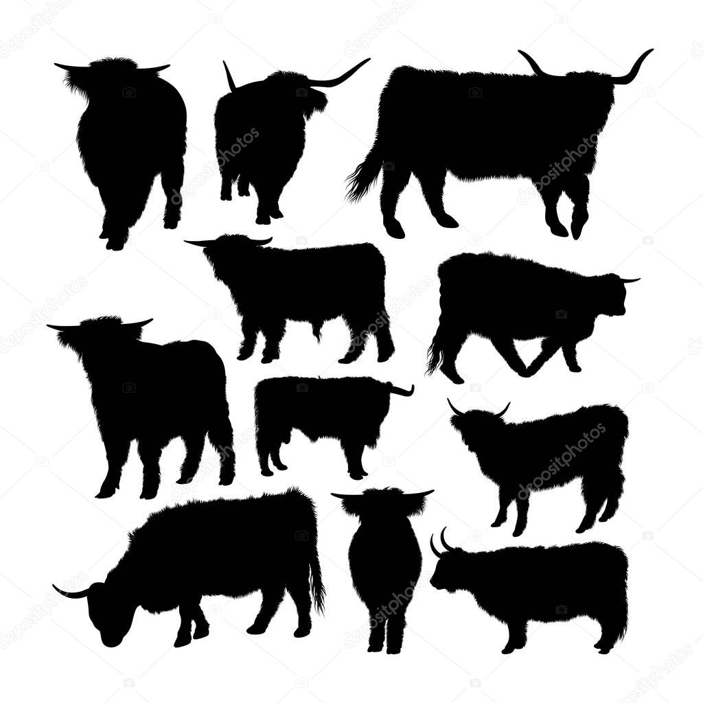 Highland cow animal silhouettes. Good use for symbol, logo, web icon, mascot, sign, or any design you want.