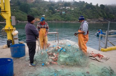 Bahia Mansa, Osorno Eyaleti, Şili - Şubat 2020: Şili 'de küçük bir balıkçı köyündeki balıkçı iskelesinden üç balıkçı yengeç avlıyor. Erkekler okyanusta balık tuttuktan sonra avlarını kontrol ederler..