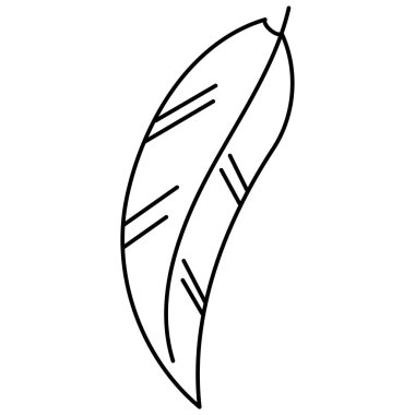 El çizimi karalama botanik bitki kaktüs klipsi sanat çizimi