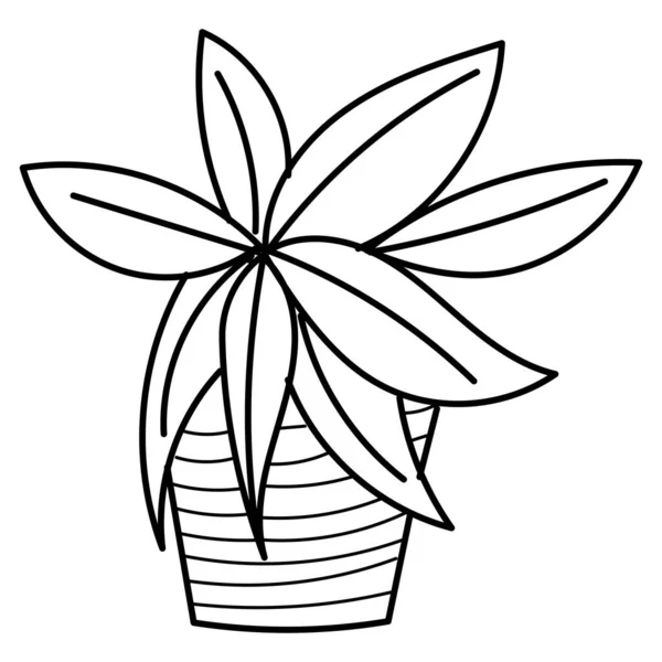 Hand Drawn Doodle Botanical Plant Cactus Clip Art Illustration — Stock Vector