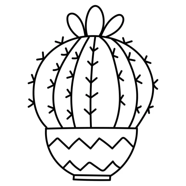 Handgetekende Doodle Botanische Cactus Plant Sappige Clipart Illustratie — Stockvector