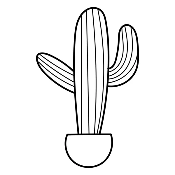 Disegno Mano Doodle Pianta Botanica Cactus Succulenta Clipart Illustrazione — Vettoriale Stock