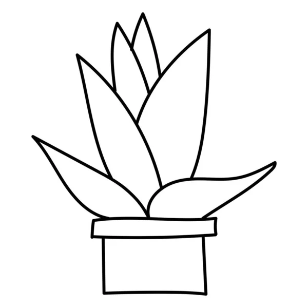 Handritade Doodle Botaniska Kaktus Växt Saftig Clipart Illustration — Stock vektor