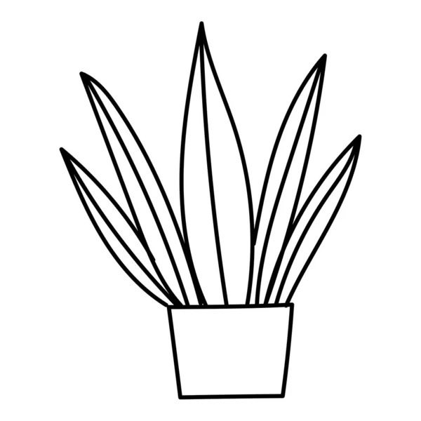 Kézzel Rajzolt Doodle Botanikus Kaktusz Növény Zamatos Előfizetői Illusztráció — Stock Vector