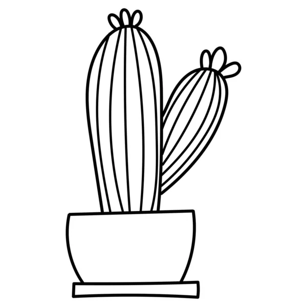 Handritade Doodle Botaniska Kaktus Växt Saftig Clipart Illustration — Stock vektor