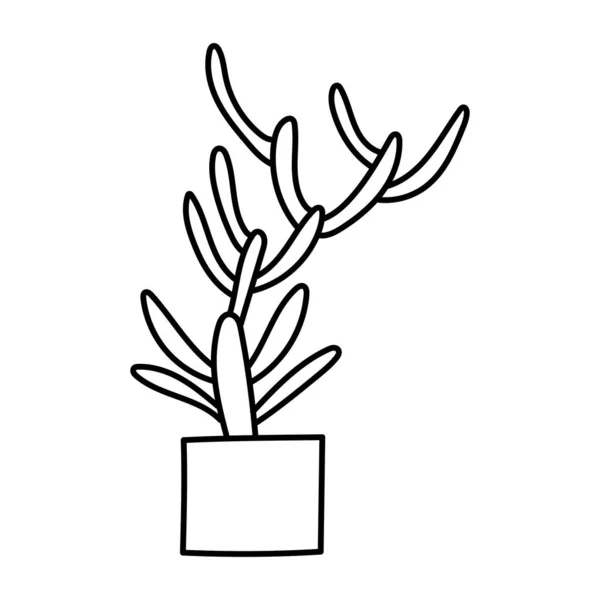 Disegno Mano Doodle Pianta Botanica Cactus Succulenta Clipart Illustrazione — Vettoriale Stock