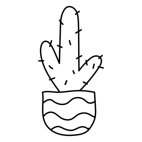 Disegno Mano Doodle Pianta Botanica Cactus Succulenta Clipart Illustrazione — Vettoriale Stock