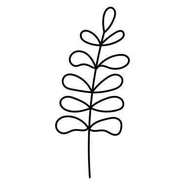 Karalama botanik el dekoratif yaprak çizimi