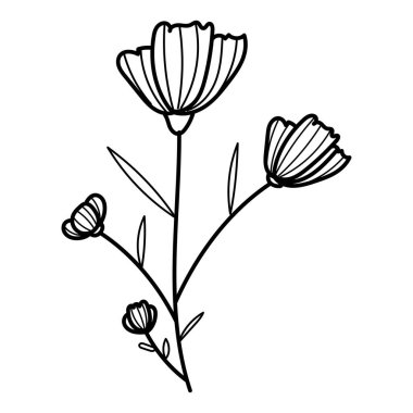 Karalama botanik el dekoratif yaprak çizimi