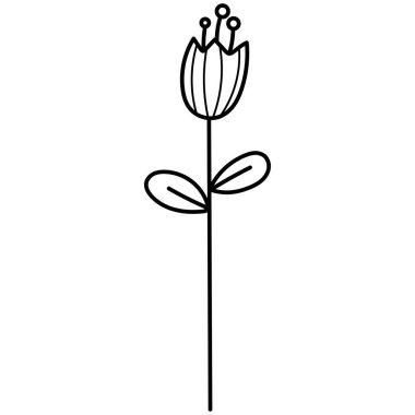 Karalama botanik el dekoratif yaprak çizimi