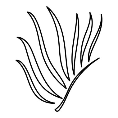 Karalama botanik el dekoratif yaprak çizimi