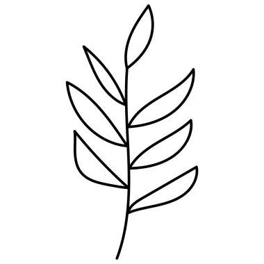 Karalama botanik el dekoratif yaprak çizimi