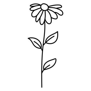 Karalama botanik el dekoratif yaprak çizimi