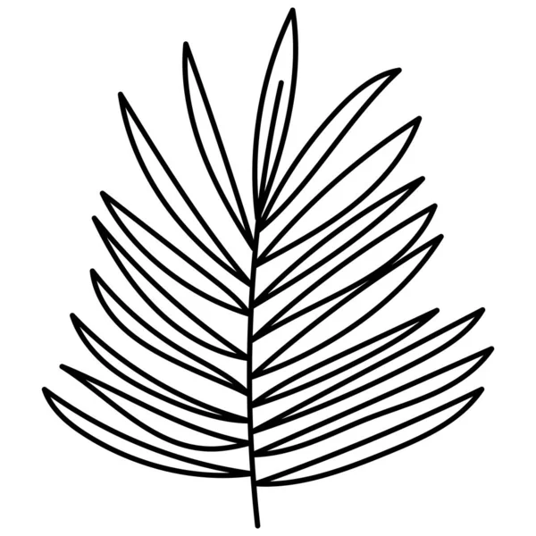Doodle Botânico Mão Desenhado Decorativo Folha Ilustração — Vetor de Stock