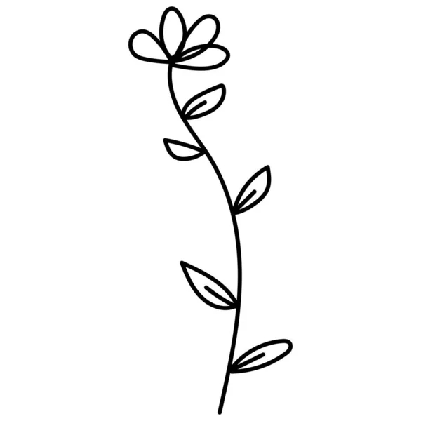 Doodle Botanische Hand Getekend Decoratieve Blad Illustratie — Stockvector