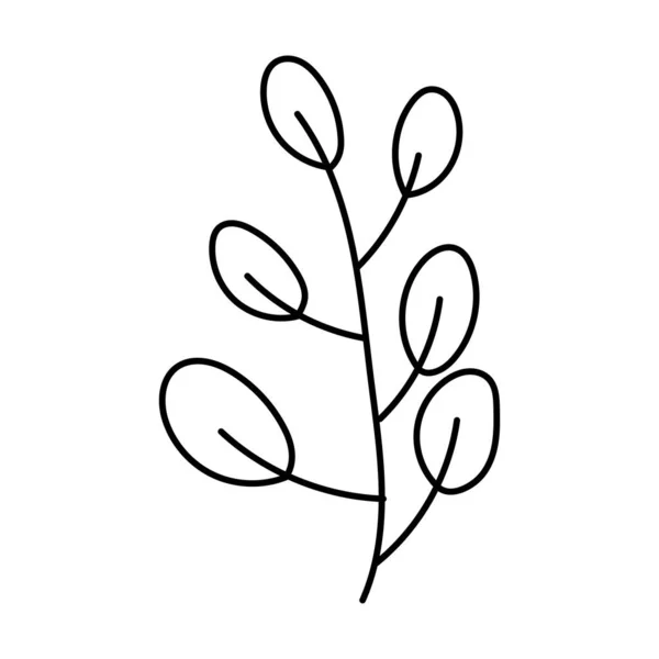 Scarabocchio Botanico Disegnato Mano Decorativo Illustrazione Foglia — Vettoriale Stock