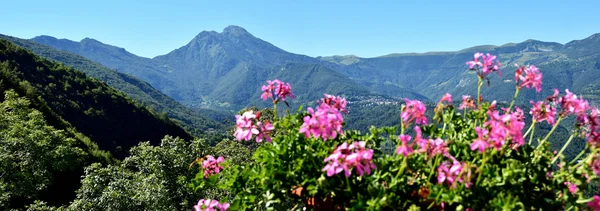 Termine della valle imagnaspatica s. omobono — Foto Stock