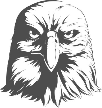 Kartal siluetleri vektör - Önden Görünüm