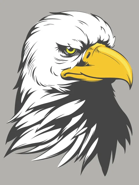 Bald Eagle Head Cartoon — Stock Vector