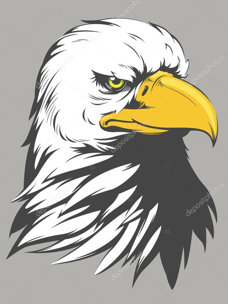 Bald Eagle Head Cartoon