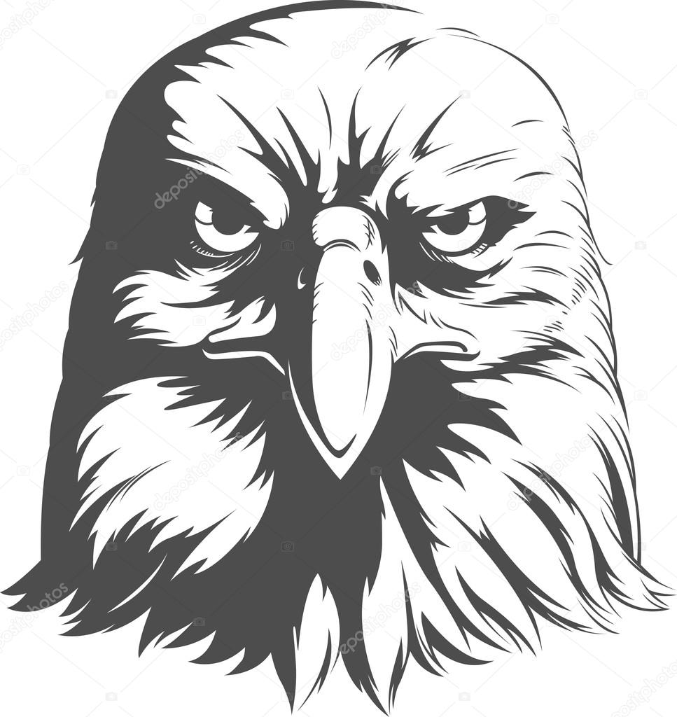 Silueta de águila calva imágenes de stock de arte vectorial | Depositphotos